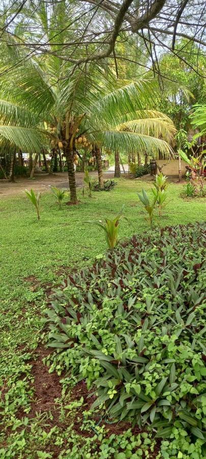 Selong Belanak Bungalows Екстер'єр фото